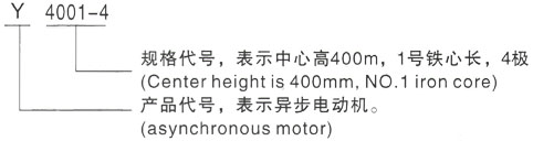 西安泰富西玛Y系列(H355-1000)高压YE2-355M2-10三相异步电机型号说明