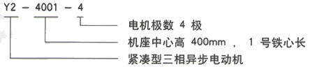 YR系列(H355-1000)高压YE2-355M2-10三相异步电机西安西玛电机型号说明